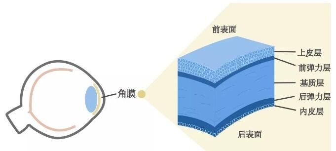 紫外線消毒燈對(duì)人體的傷害有哪些？小心患上“電光性眼炎”！