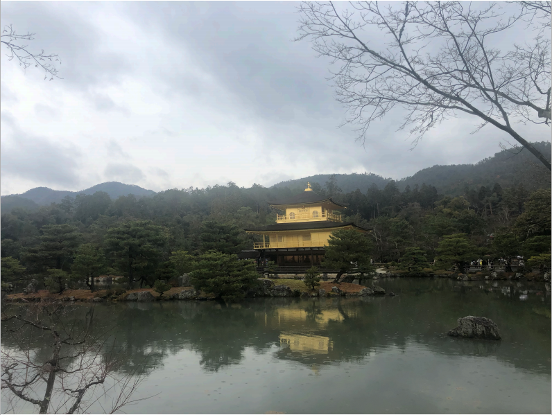 杭州美卓生物科技有限公司 | 公司組團日本游了