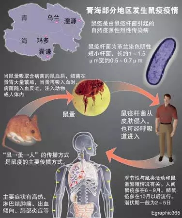 杭州美卓生物科技有限公司 | 鼠疫可防可控可治，這些知識(shí)你應(yīng)該知道