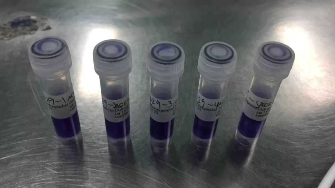 杭州美卓生物科技有限公司 | 杭州美卓生物汽化過氧化氫--醫(yī)院ICU重癥監(jiān)護室過氧化氫空間消毒滅菌驗證應用實例