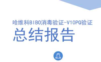 雙級4×4高等級BIBO驗證總結(jié)