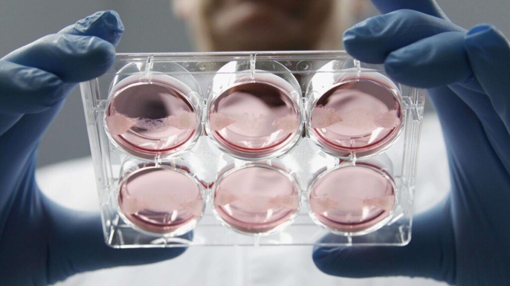 2023-08-2545 杭州美卓生物科技有限公司 | 微生物實驗室消毒處理與廢棄物處理方法
